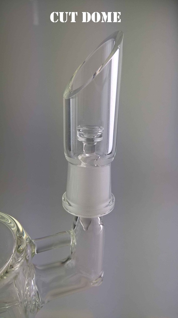 RIG1_3.jpg