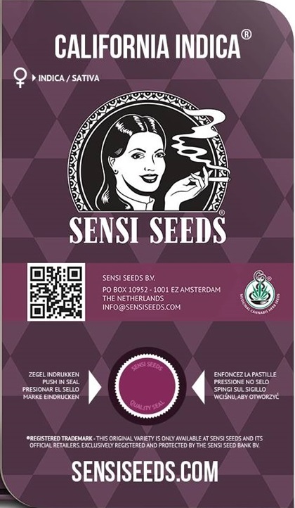 SEED321_3.jpg