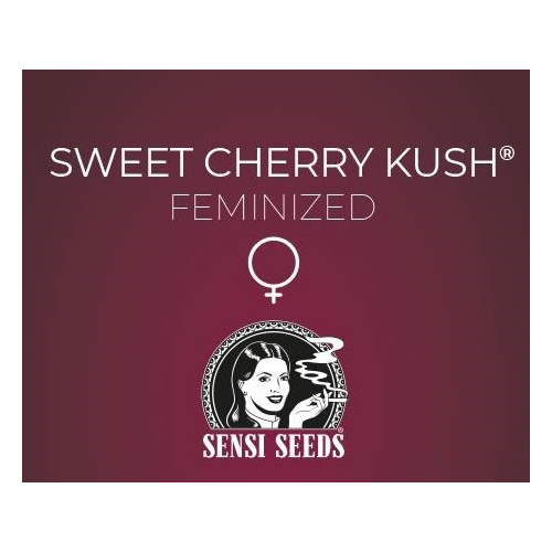 Sensi Seed, Sweet Cherry Kush®, 3 Seeds, Feminized-SEED335-Sensi Seeds_3.jpg