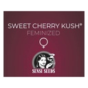 Sensi Seed, Sweet Cherry Kush®, 3 Seeds, Feminized-SEED335-Sensi Seeds_3.jpg