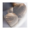 Sensi Seed, Early Skunk Autom®, 3 Seeds, Fem.auto-SEED07AU-Sensi Seeds_2.jpg