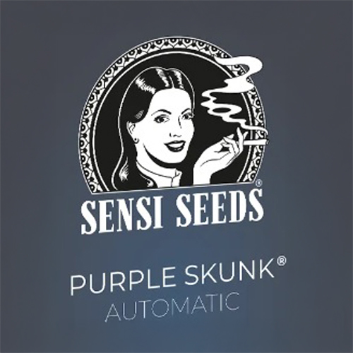 Sensi Seed, Purple Skunk, 3 Seeds, Fem. Autofl-SEED13AU-Sensi Seeds_2.jpg