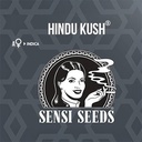 Sensi Seed, Hindu Kush Automa®, 3 Seeds, Fem.auto-SEED09AU-Sensi Seeds_5.jpg
