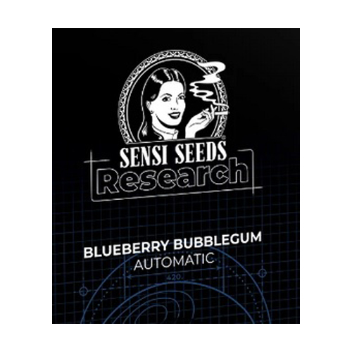 Sensi Seed, Blueberry Bubblegum, 3 Seeds, Fem.auto-SEED46AU-Sensi Seeds_2.jpg