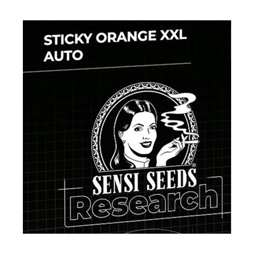 Sensi Seed, Sticky Orange XXL, 3 Seeds, Fem.autom.-SEED45AU-Sensi Seeds_3.jpg