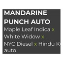 Sensi Seed, Mandarine P., 3 Seeds, Fem. Autoflow.-SEED18AU-Sensi Seeds_2.jpg