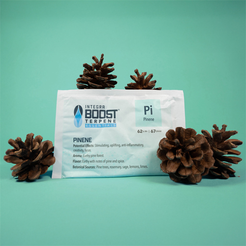Integra Boost TERPENE PINENE 67g - 62%