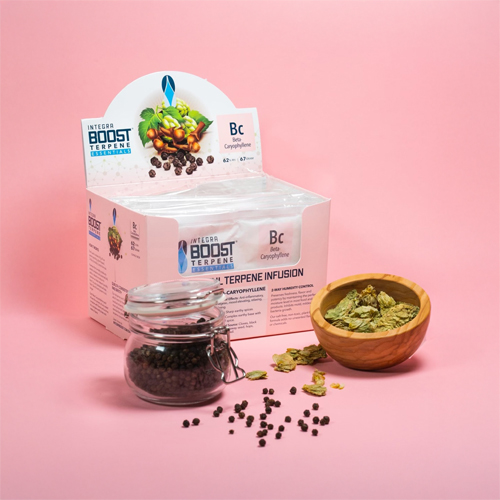 Integra Boost TERPENE CARIOPHYLENE 67g - 62%