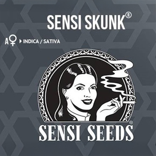 Sensi Seed, Sensi Skunk Auto®, 3 Seeds, Fem.auto-SEED04AU-Sensi Seeds_2.jpg