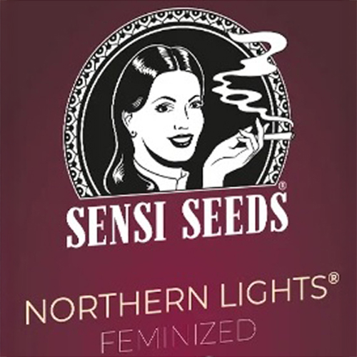 Sensi Seed, Northern Lights®, 3 Seeds, Feminized-SEED311-Sensi Seeds_3.jpg