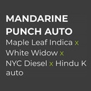 Sensi Seed, Mandarine P., 3 Seeds, Fem. Autoflow.-SEED18AU-Sensi Seeds_2.jpg