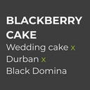 Sensi Seed, Blackberry Cake, 3 Seeds, Feminized-SEED315-Sensi Seeds_2.jpg