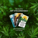 Jack Herer CBD Flowers, 2g, With Tax Stamp-SLOJA2-Jack Herer_3.jpg