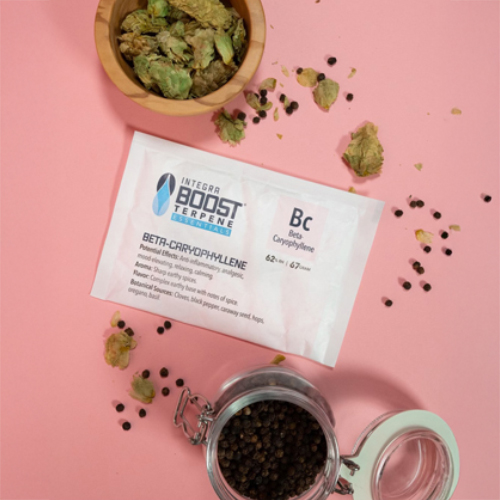 Integra Boost TERPENE CARIOPHYLENE 67g - 62%