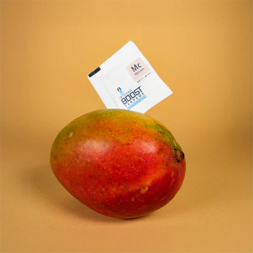 Integra Boost TERPENE MYRCENE 4g - 62%