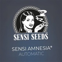 Sensi Seed, Sensi Amnesia Auto, 3 Samen, fem.auto