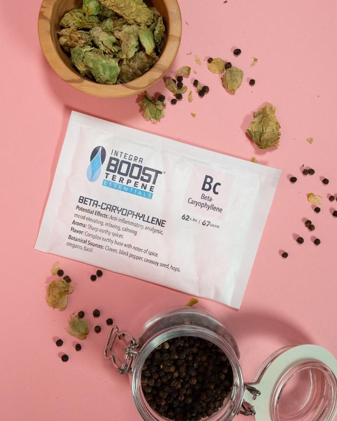 [TER62-67-CA] Integra Boost TERPENE CARIOPHYLENE 67g - 62%