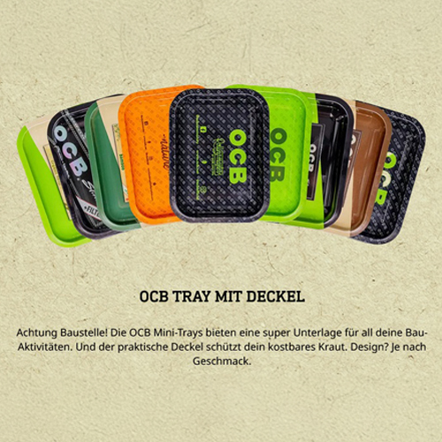 [ZI3940] OCB Trays With Lid, 1 Piece