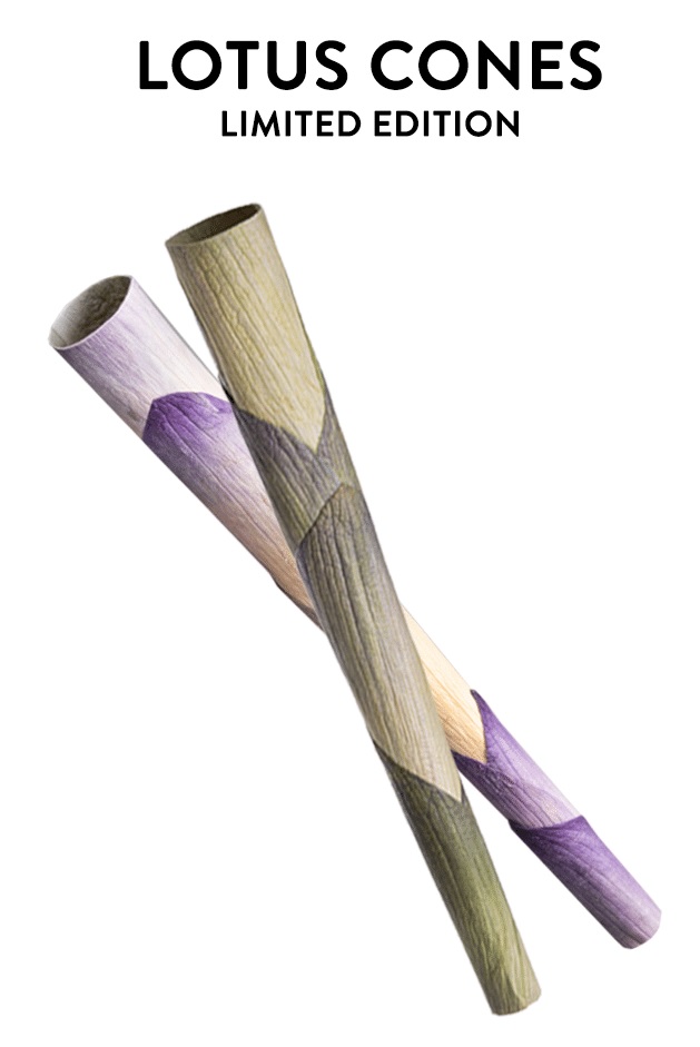 [STLTSGT] Lotus Cone, King Size, In Glass Tube, 1 Piece